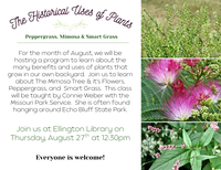 Historical Uses of Plants at Ellington Library