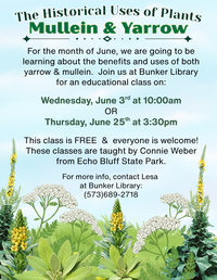 Historical Uses of Plants Class at Bunker Library: Mullein & Yarrow