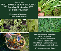 Wild Edible Plants Beginner Course