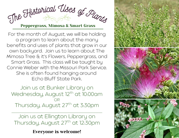 Join us for a program to learn about plants in our own backyard. This month we are learning about the Mimosa tree, peppergrass, and smart weed.  Program at Bunker Library on August 12th at 10:00am and August 27th at 3:30pm  and at Ellington Library on August 27th at 12:30pm. 